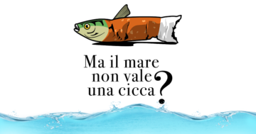 Ma il mare non vale una cicca?